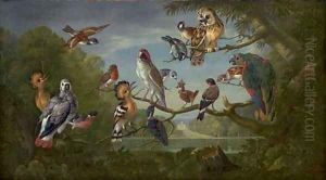 A concert of birds by Pieter Casteels III
