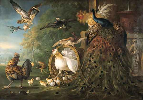 A peacock, a cockerel, a hen with her chicks, a kestrel - view 1