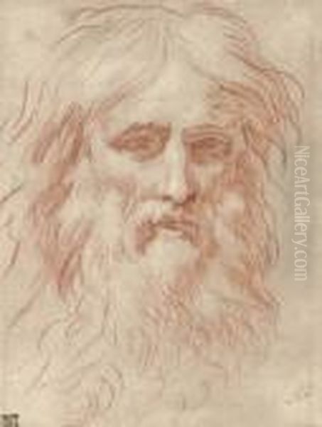 Head Of A Bearded Man - view 1
