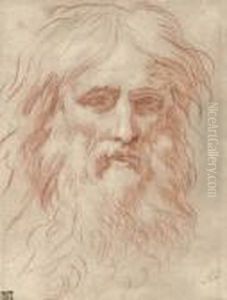 Head Of A Bearded Man by Simone Cantarini (Pesarese)