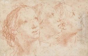 Les Tetes De Trois Femmes Regardant Vers La Droite Les Tetes De Trois Femmes Regardant Vers La Droite