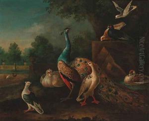 A peacock, ducks and pigeons by a pond, an ornamental lake beyond
