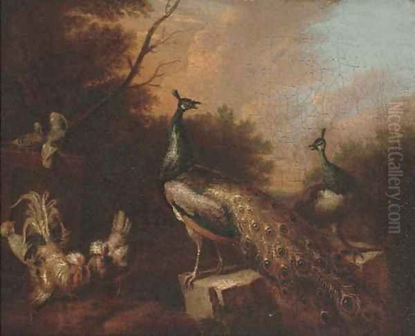 Peacocks and chickens in a landscape - view 1