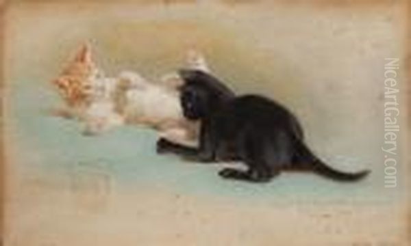 Gattini - 1909 - view 1