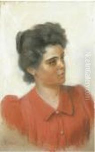 La Camicetta Rossa La Camicetta Rossa