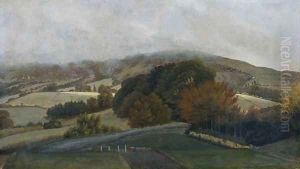 Carneddau Mountains from Pencerrig