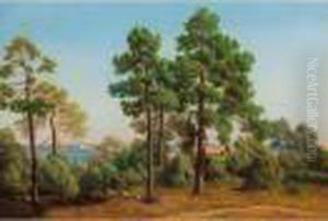 Veduta Dalla Baia Di St. Tropez, Cap Ferrat by Jacques Carabain