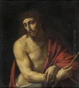Christ Au Roseau Christ Au Roseau