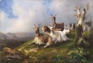 Gli Amici