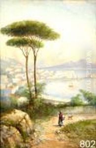 Napoli Da Posillipo