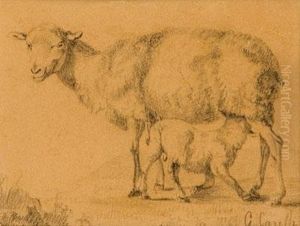 Pecora Ed Agnello