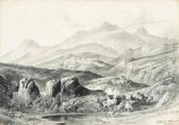 Cattle - view 1