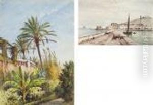 Summer In Menton