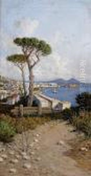 A View Of Naples From Across The Bay - view 1