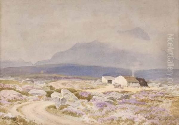 Muckish 
 Donegal - view 1