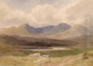Boglands
