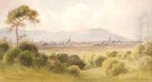 Belfast From Castlereagh by Joseph Carey Carey
