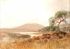 Marshland by Joseph Carey Carey
