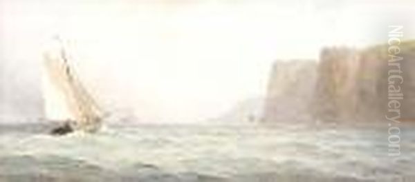 Black Head & The Gobbins - view 1