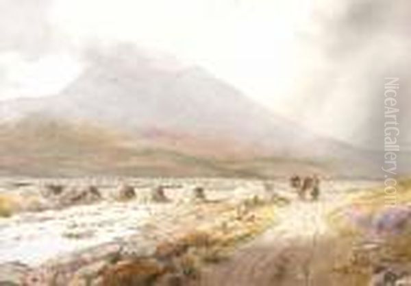 Errigal
Donegal - view 1