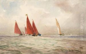 Sailing Belfast Lough