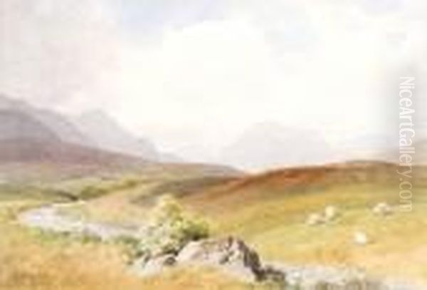 Slieve Binnian - view 1