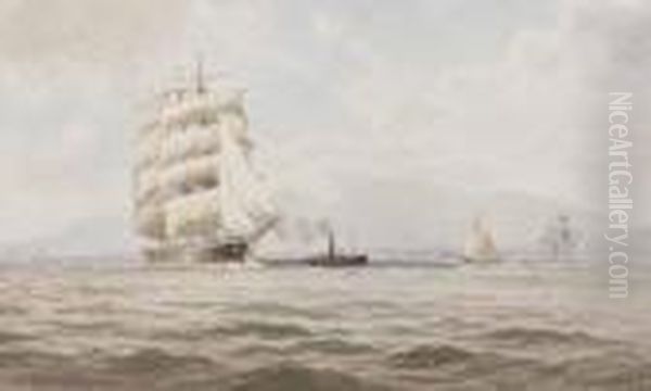 Belfast Lough - view 1