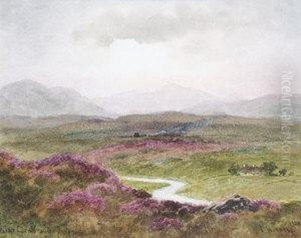 Near Glenveagh, Donegal - view 1