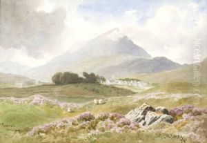 Muckish Muckish