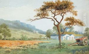 Cave Hill
