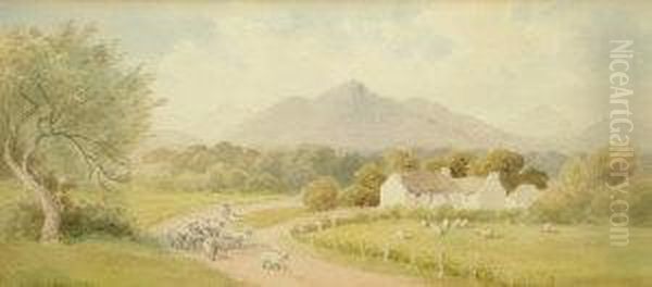 By Road Near Kilkeel - view 1