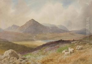 Goatfell Goatfell