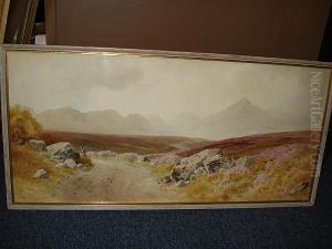 Moorland Landscape Moorland Landscape