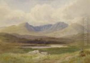 Bogland