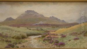 The Mountains Of Mourne