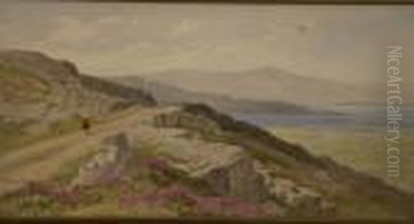 Bantry Bay - view 1