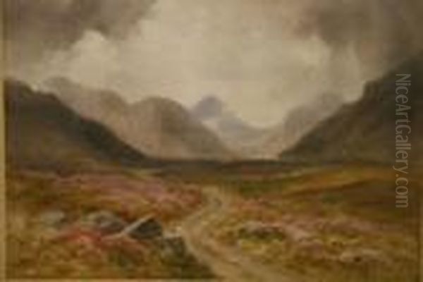Landscape - view 1