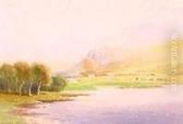 Landscape - view 1