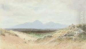 Dundrum Dunes, Co. Down by Joseph Carey Carey