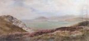 Dublin Bay