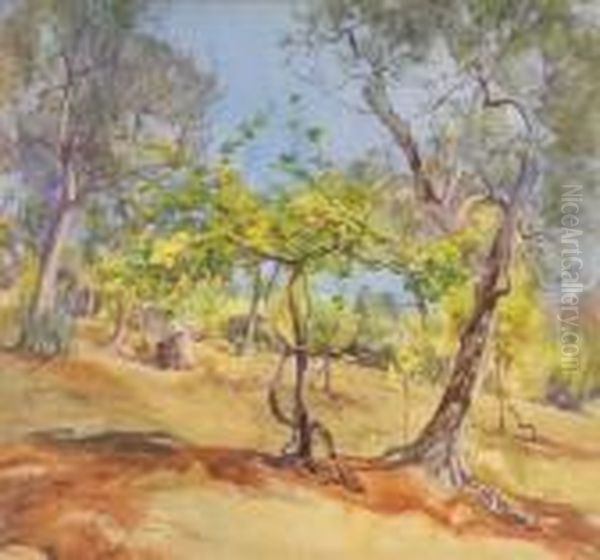 Nella Vigna - view 1