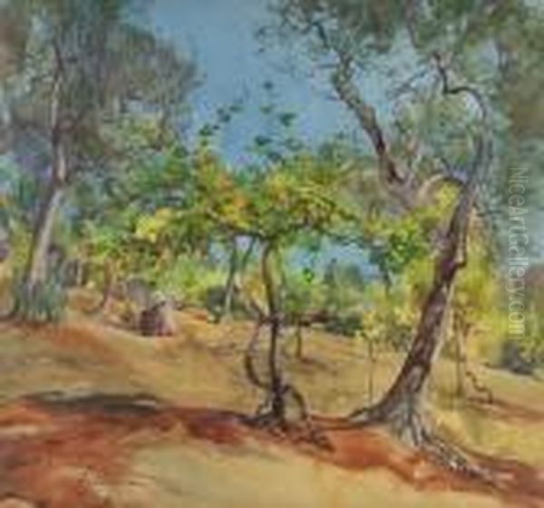 Uliveto A Fiuggi - view 1