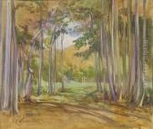 Il Bosco Di Fiuggi by Onorato Carlandi