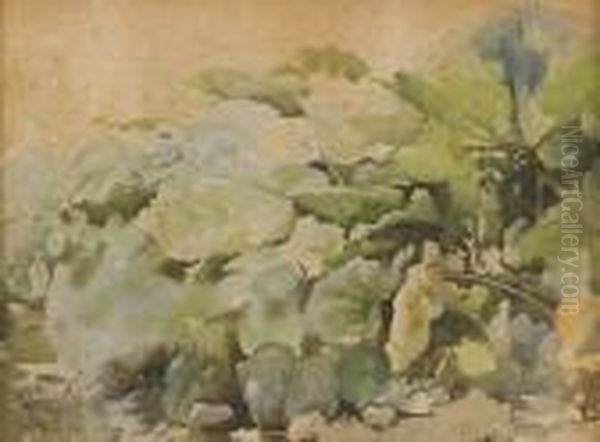 Sottobosco - view 1