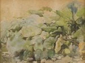 Sottobosco by Onorato Carlandi
