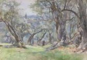 Ulivi A Tivoli
