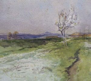 Campagna Romana A Primavera