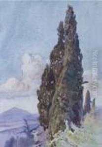 Cipressi Nel Paesaggio