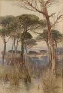 The Roman Campagna by Onorato Carlandi