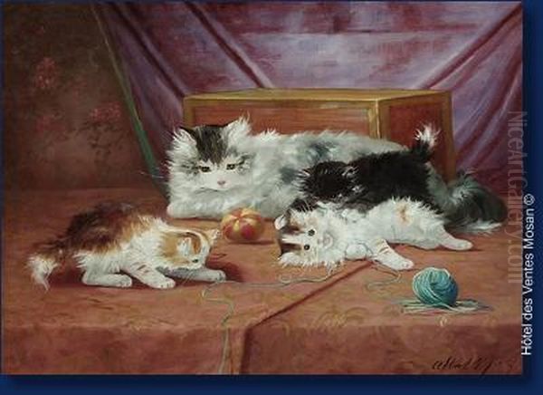 Chat Et Chatons - view 1
